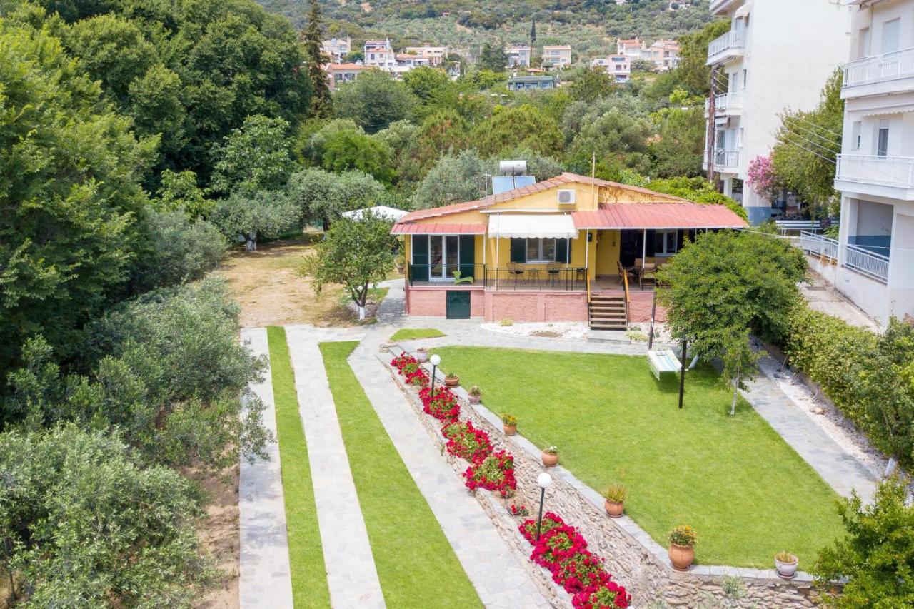 Xenophon House Villa PalaiónTsiflíkion Dış mekan fotoğraf